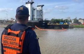 Imagen de los trabajos.