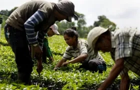 Imagen de referencia.