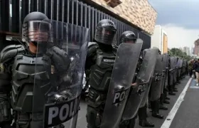 Imagen de referencia.