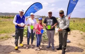 La gobernadora Elsa Noguera en el inicio de la siembra de mangles uivita de playa en Salinas de Rey.