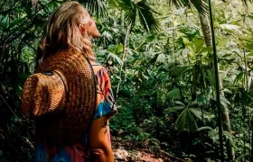 Imagen de referencia.