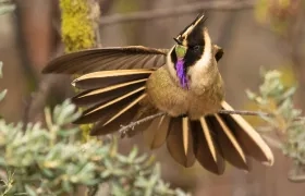  Ave en el Parque Ukumarí.