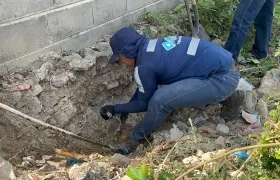 Trabajador de Triple A.