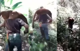 En sus hombros se ve cargando al puma muerto.