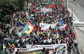 Imagen de referencia.