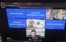Imagen de la audiencia virtual.