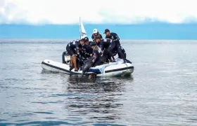 Momento cuando es liberado el delfín.