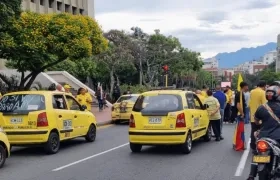 Imagen de referencia.