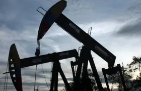 Imagen de referencia.