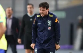 Fernando Diniz, técnico interino de la selección brasileña. 