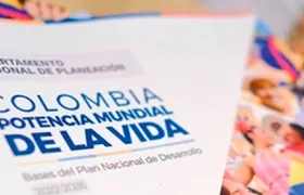 Imagen de referencia.