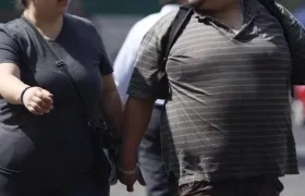 Imagen de referencia.