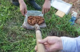 También se logró la caracterización territorial.