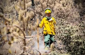 Hay 13 incendios que están siendo controlados.