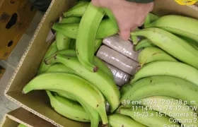 Asi estaba camuflada la cocaína incautada