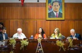 La senadora guajira Martha Peralta en una de las discusiones de la Reforma a la Salud