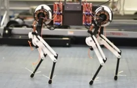 El robot es capaz de caminar a una velocidad de 5,4 milímetros por minuto 