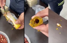 La drogaba estaba camuflada en el hueso. 