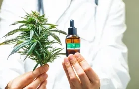 Foto referencia de cannabis medicinal