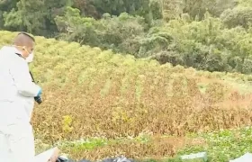 Técnicos de criminalística en la zona en donde fue hallado el cuerpo del bebé