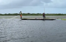 La presencia de plantas acuáticas plantas acuáticas que están afectan la navegación, la pesca y otras actividades náuticas en la Ciénaga del Totumo