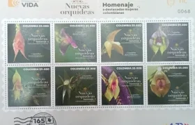 Ocho especies nuevas de orquídeas en el Parque Natural Farallones.