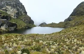 Páramo de Santurbán. 