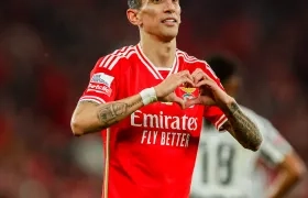 Ángel Di María, atacante argentiino del Benfica.
