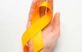 Gobernadores y alcaldes deben priorizar programas para prevenir la conducta suicida