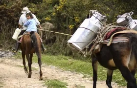 Productores rurales de leche