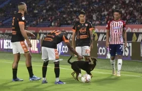 El perro le ladra a los jugadores del Envigado que intentaban sacarlo de la cancha. 