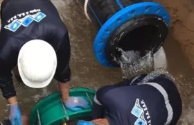 Foto referencia de reparación de Triple A