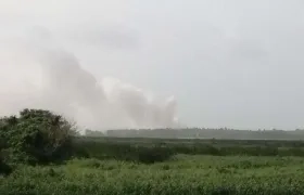 Quema en parque Isla Salamanca.