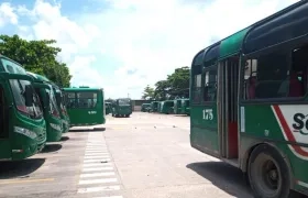 Buses urbanos en Barranquilla. 