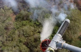 Imagen de referencia.