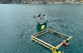 La jaula marina de 10 metros cúbicos 