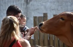 Visitantes disfrutan de los animales del Zoológico.