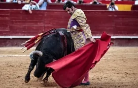 Corrida de toros,  novilladas y el rejoneo quedan prohibidos. 