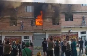 Hombre rescató 10 gatos.