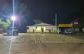 Marihuana Incautada. 