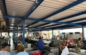 Así va quedando el nuevo techo de la plaza del pescado de Barranquillita