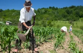 Imagen referencia campo colombiano.