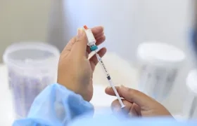 Imagen de referencia.