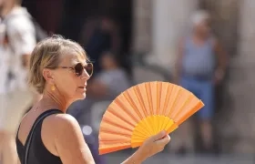 Algunos turistas van a museos. 