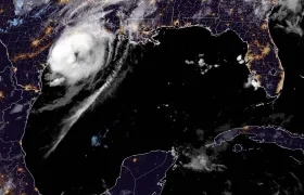 Imagen de referencia.