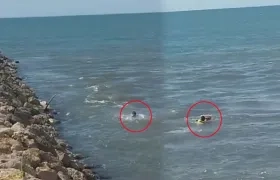 Imágenes del rescate.