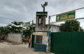 Nevada de la empresa Lolaya.