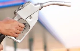 Imagen de referencia.