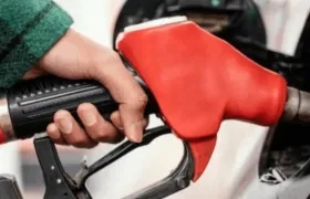 Imagen de referencia.