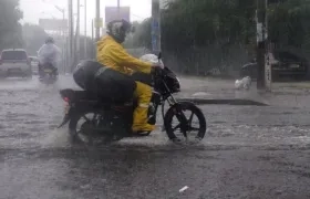 Imagen de referencia.